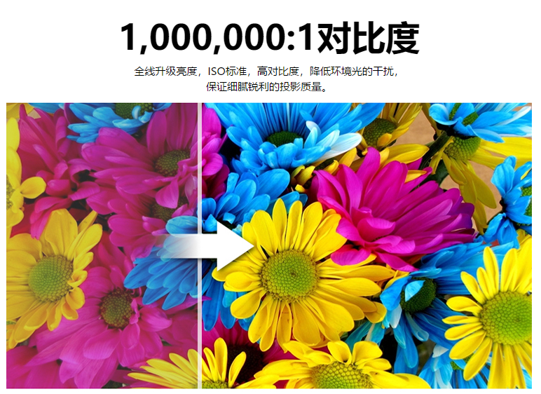 803e2a01fceb6f10afbb4205d281b83.png